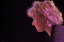 DSCF6914_1