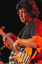 yellowjackets078
