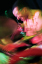 N0000004_1